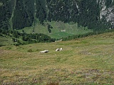 Zoommata sulla Nanztall